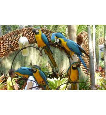 Февральские туры в Азию!